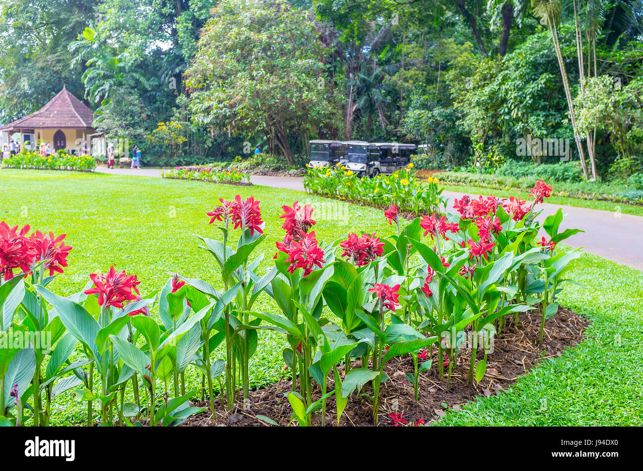 Tropical flowers is a visit card of Royal Botanical Garden of Sri Lanka