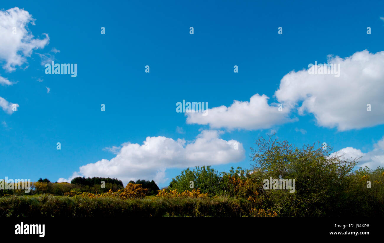 Blue Sky Clouds and landscape Stock Photo - Alamy