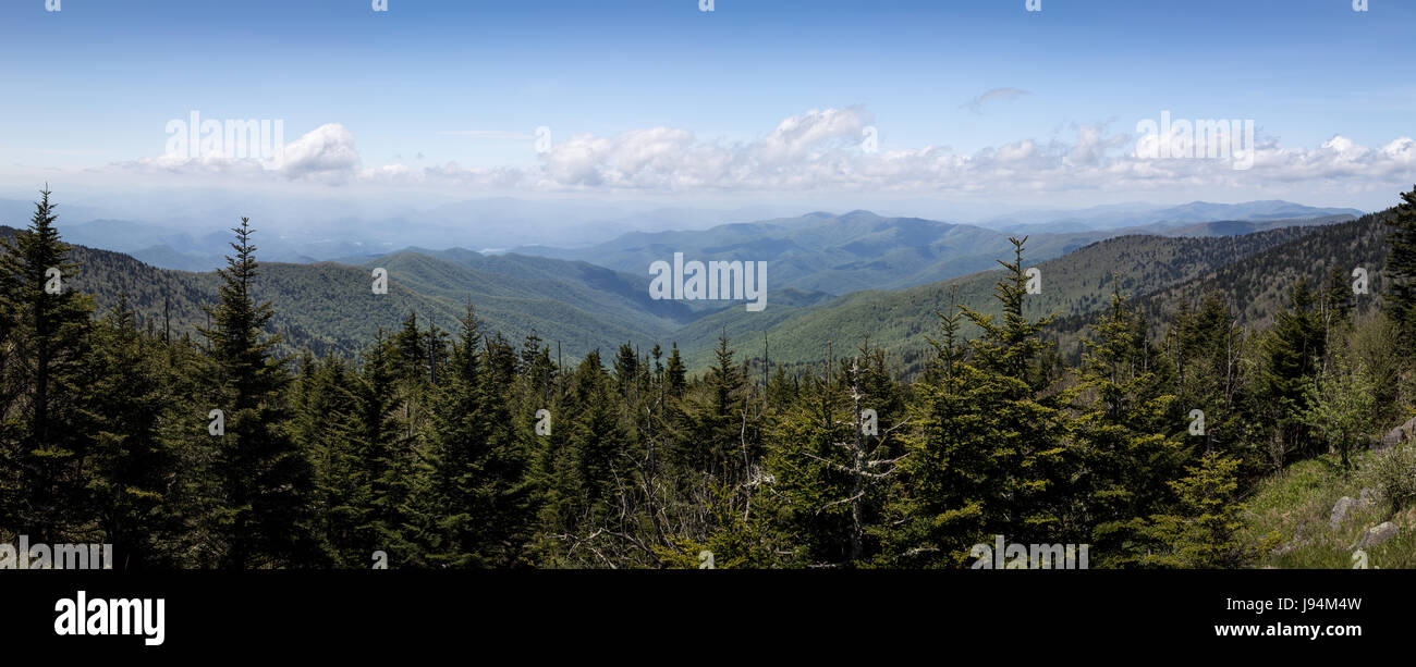 Clingmans Dome is the highest point in the Great Smoky Mountain National Park at an elevation of 6643 feet.  On a clear day it is possible to see approximately 100 miles from the summit.  Viewing to the south, it is possible to make out the Tuckasegee River near the point where it forms Fontana Lake.  The road to Clingmans Dome from Highway 441 is 7 miles in length and is closed between December and March. Stock Photo