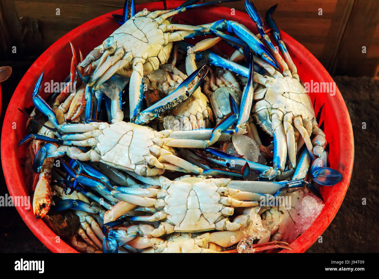 Red Crab India Stock Photos & Red Crab India Stock Images Alamy