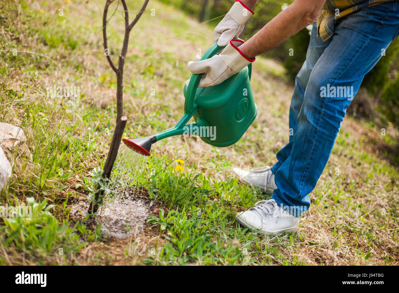 Кольцевой полив для деревьев. Полив деревьев. Зимний полив деревьев. Полив деревьев. Искореняющая обработка сада.