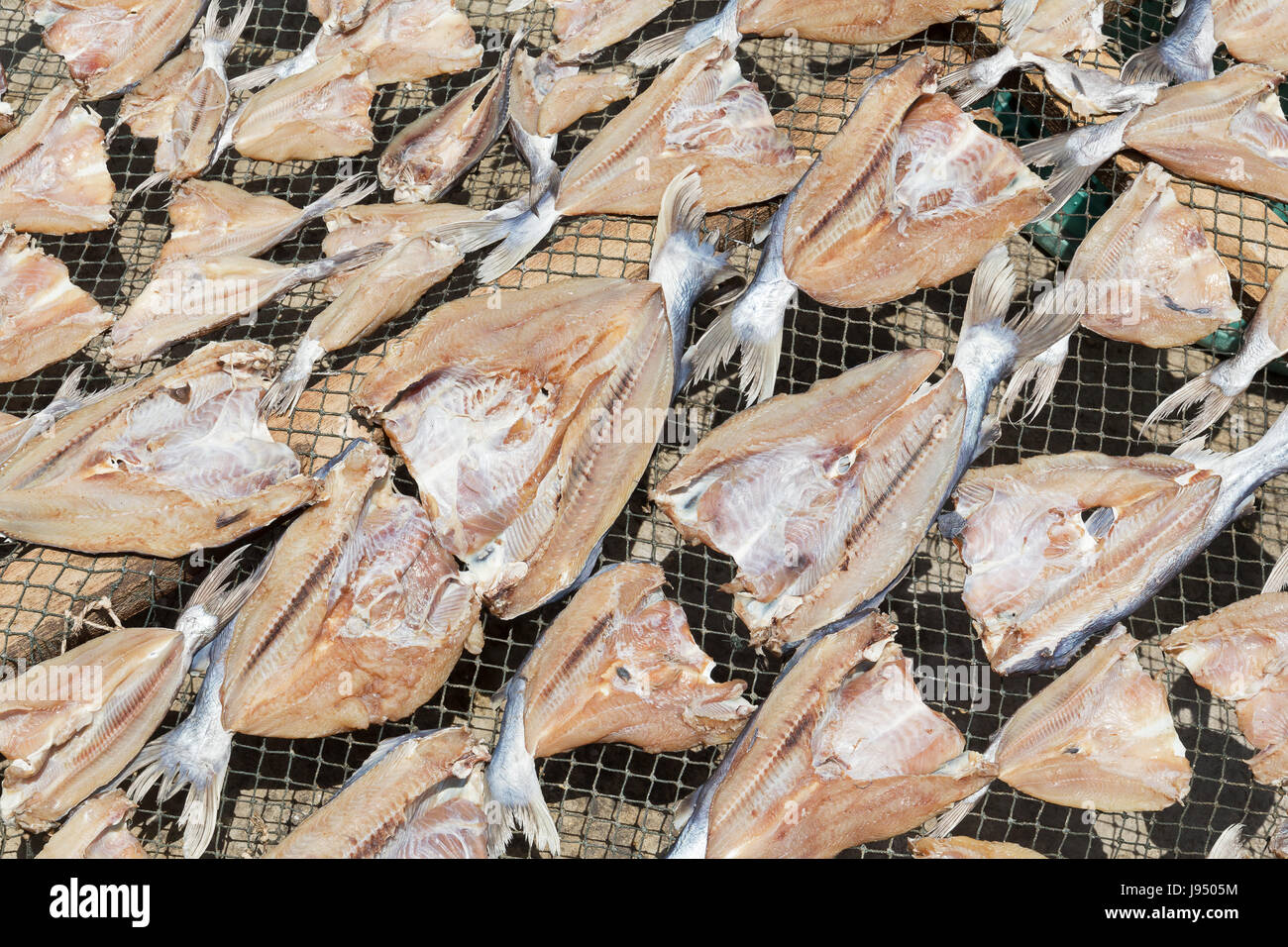 Fish laid out for drying hires stock photography and images Alamy