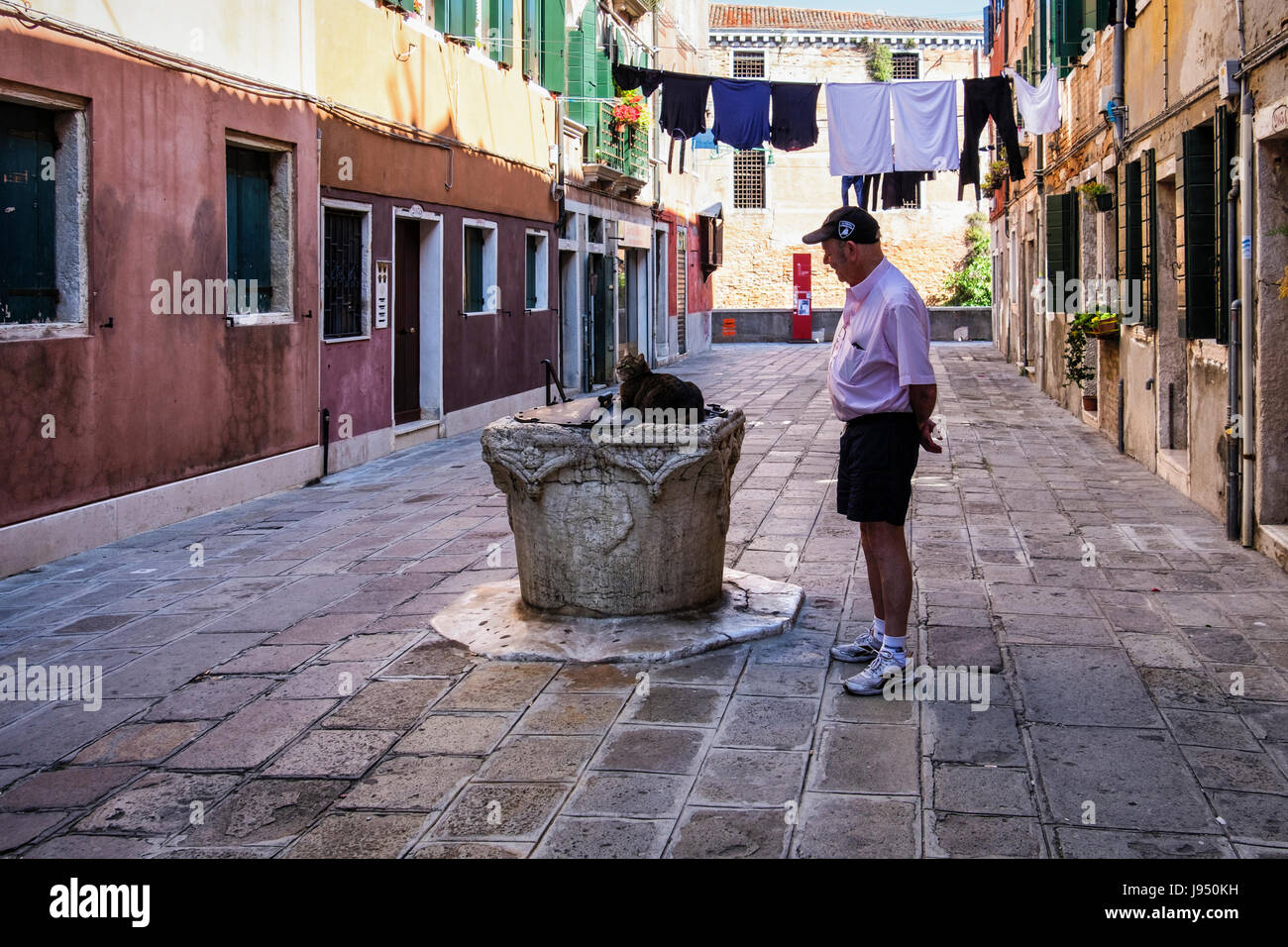 Venice,Castello. Narrow picturesque street with weathered houses,old water well, washing lines,laundry day and senior man with cat Stock Photo