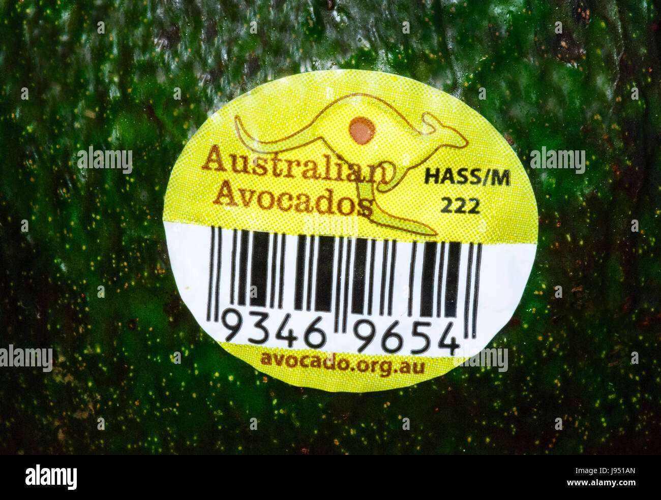 Bar code and label of an Australian grown Avocado Pear, Australia Stock Photo