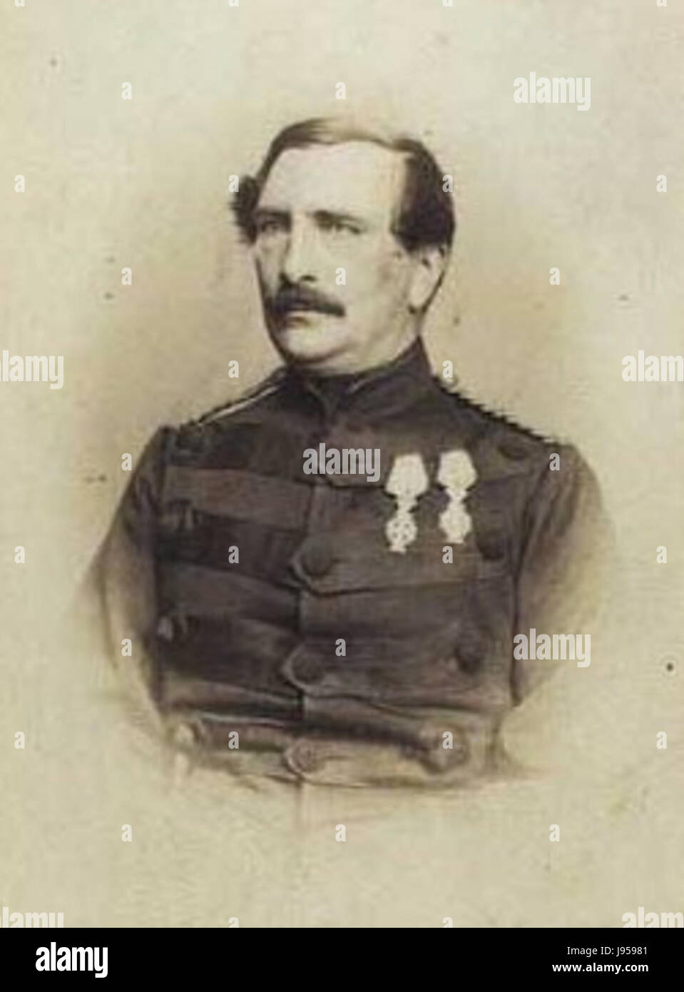 Stricker hi-res stock photography and images - Alamy