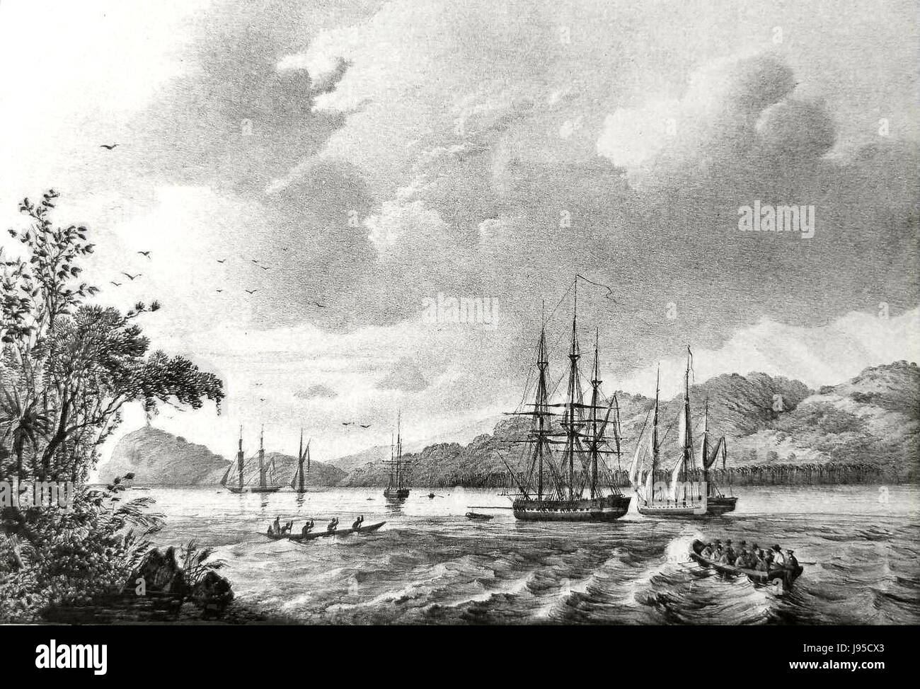 Reede hi-res stock photography and images - Alamy