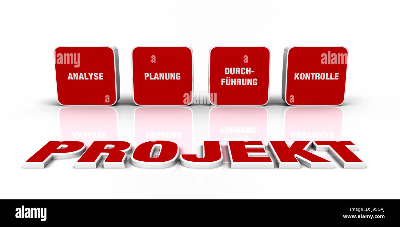project control strategies developing project strategies