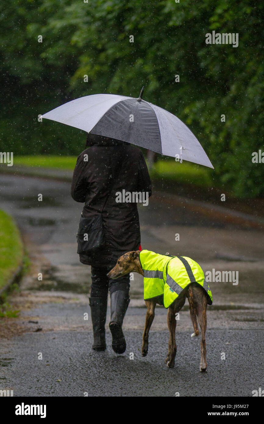 Raining Cats And Dogs High Resolution Stock Photography and Images Alamy