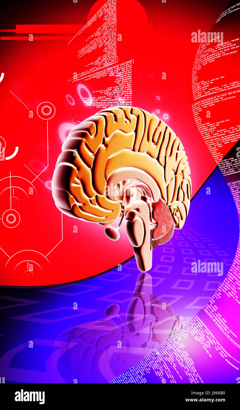 health, medicinally, medical, graphics, colour, human, human being ...