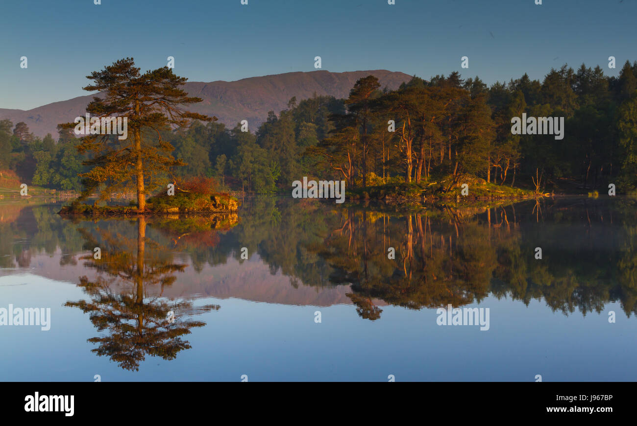 Sunrise at Tarn Hows in the English Lake District Stock Photo