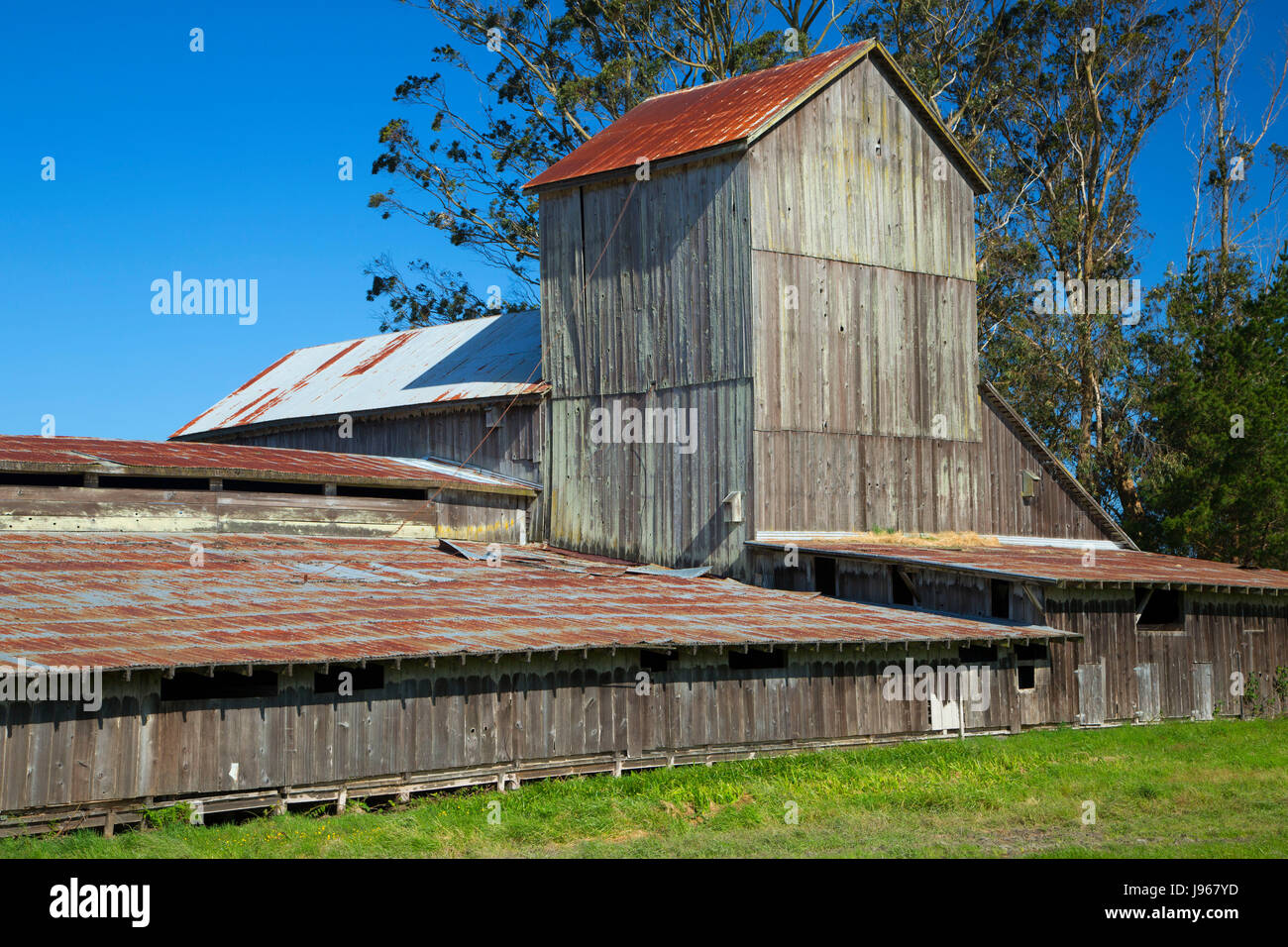 McBride Ranch barn, Humboldt Bay National Wildlife Refuge, California