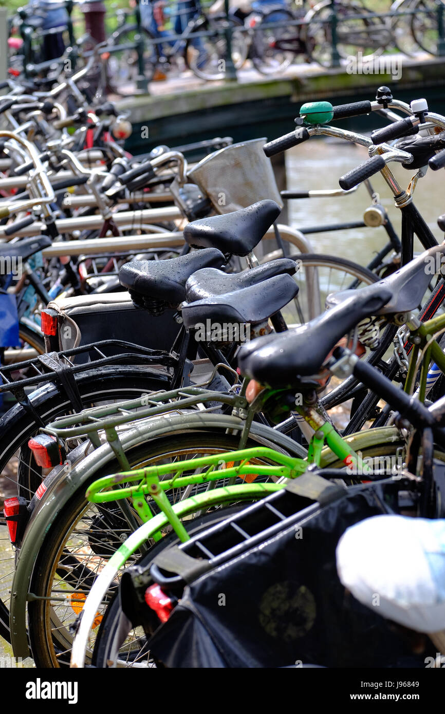 tangle of bikes in bicycle rack in Amsterdam Stock Photo Alamy