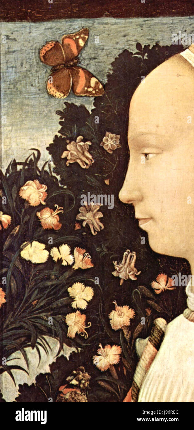 Fine detail in renaissance hi-res stock photography and images - Alamy