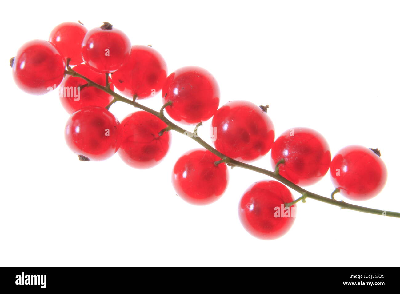 red currants Stock Photo