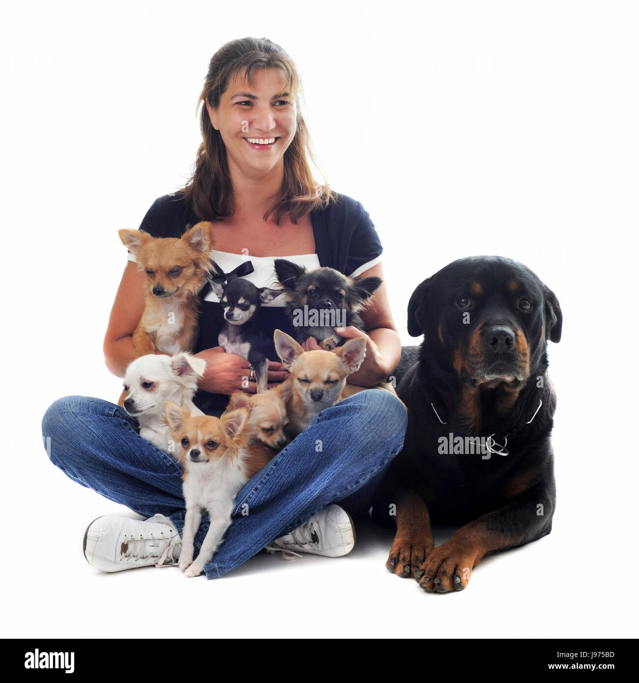 woman, dog, dogs, rottweiler, girl, girls, laugh, laughs, laughing, twit, Stock Photo