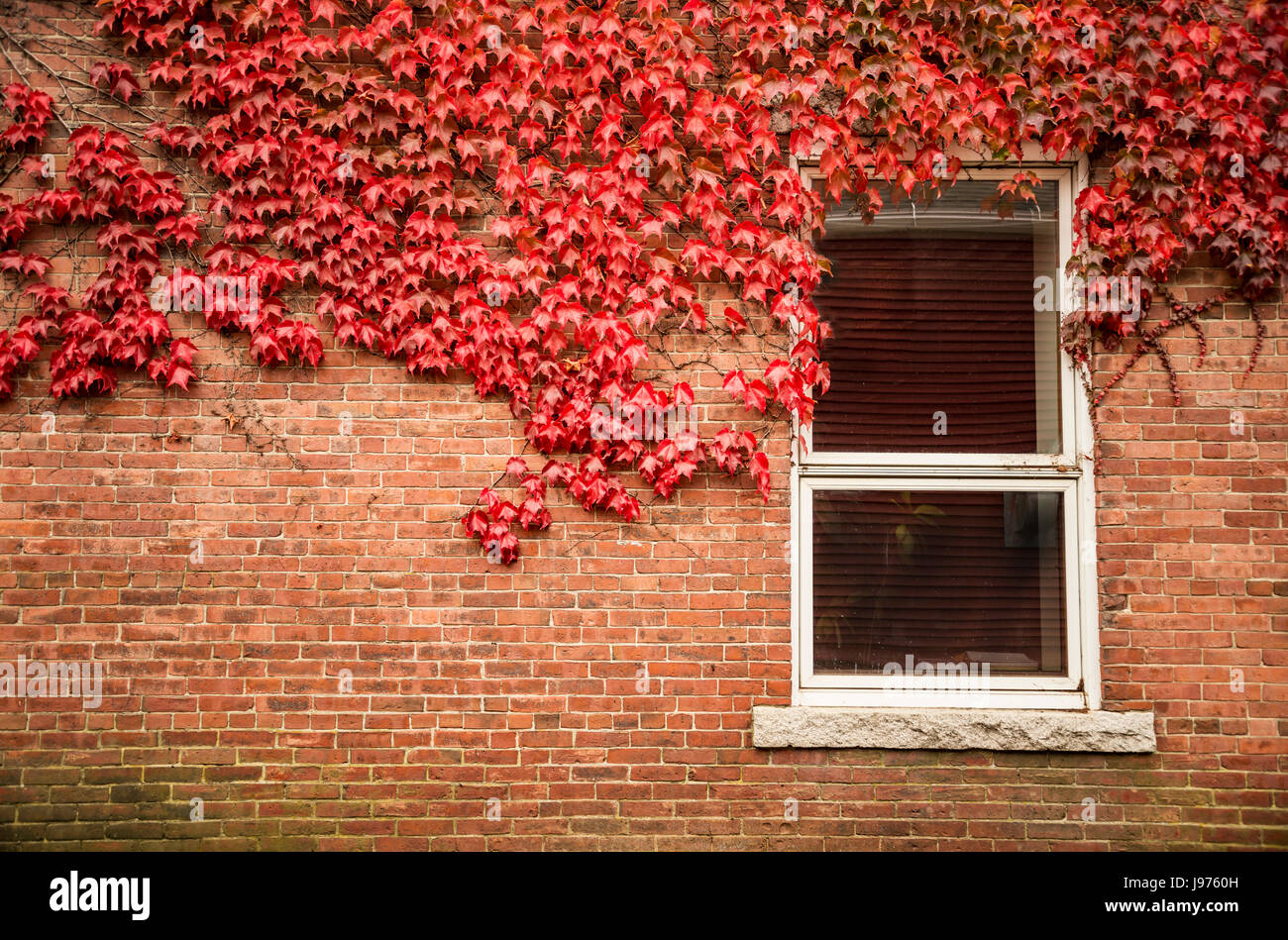 Old red brick wall with wooden window Stock Photo