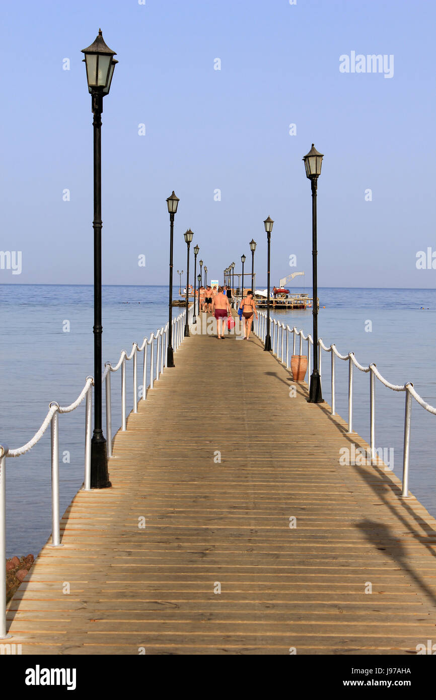 salt water, sea, ocean, water, africa, egypt, dive, swimming, association, Stock Photo