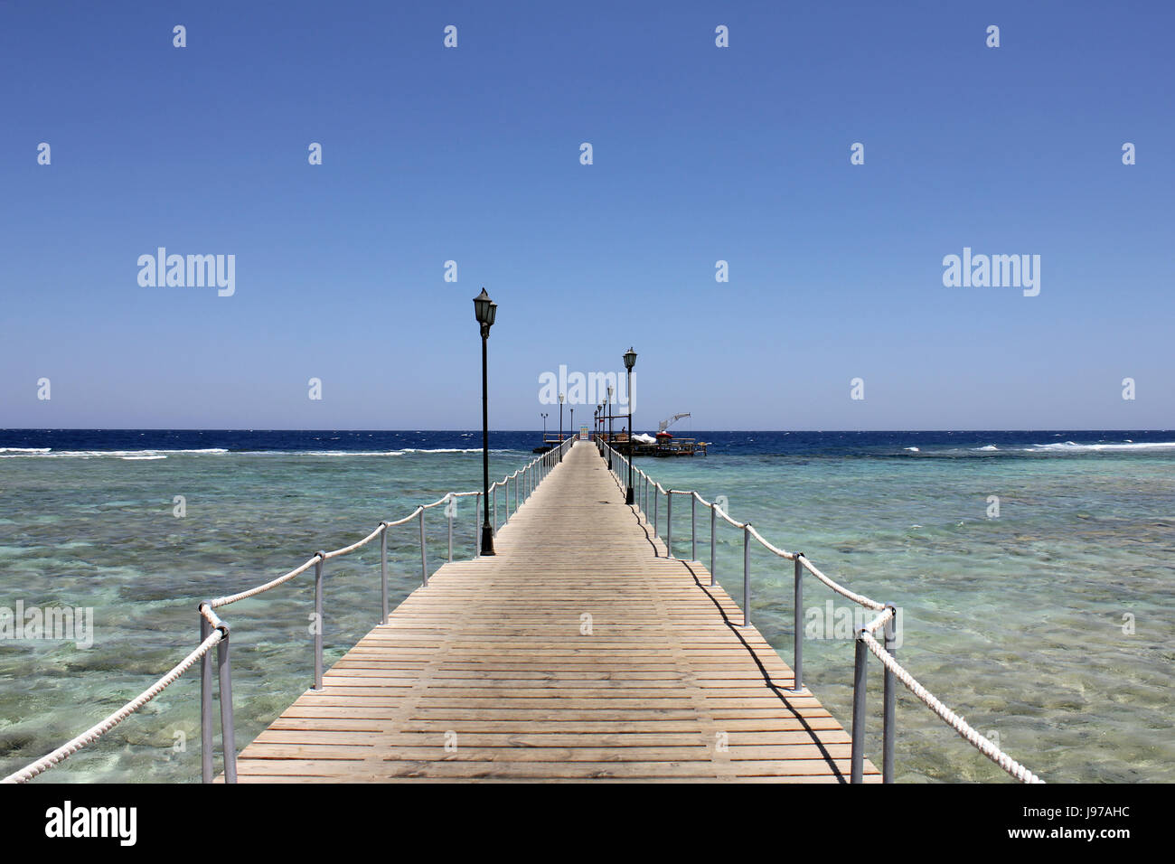 salt water, sea, ocean, water, africa, egypt, dive, swimming, association, Stock Photo