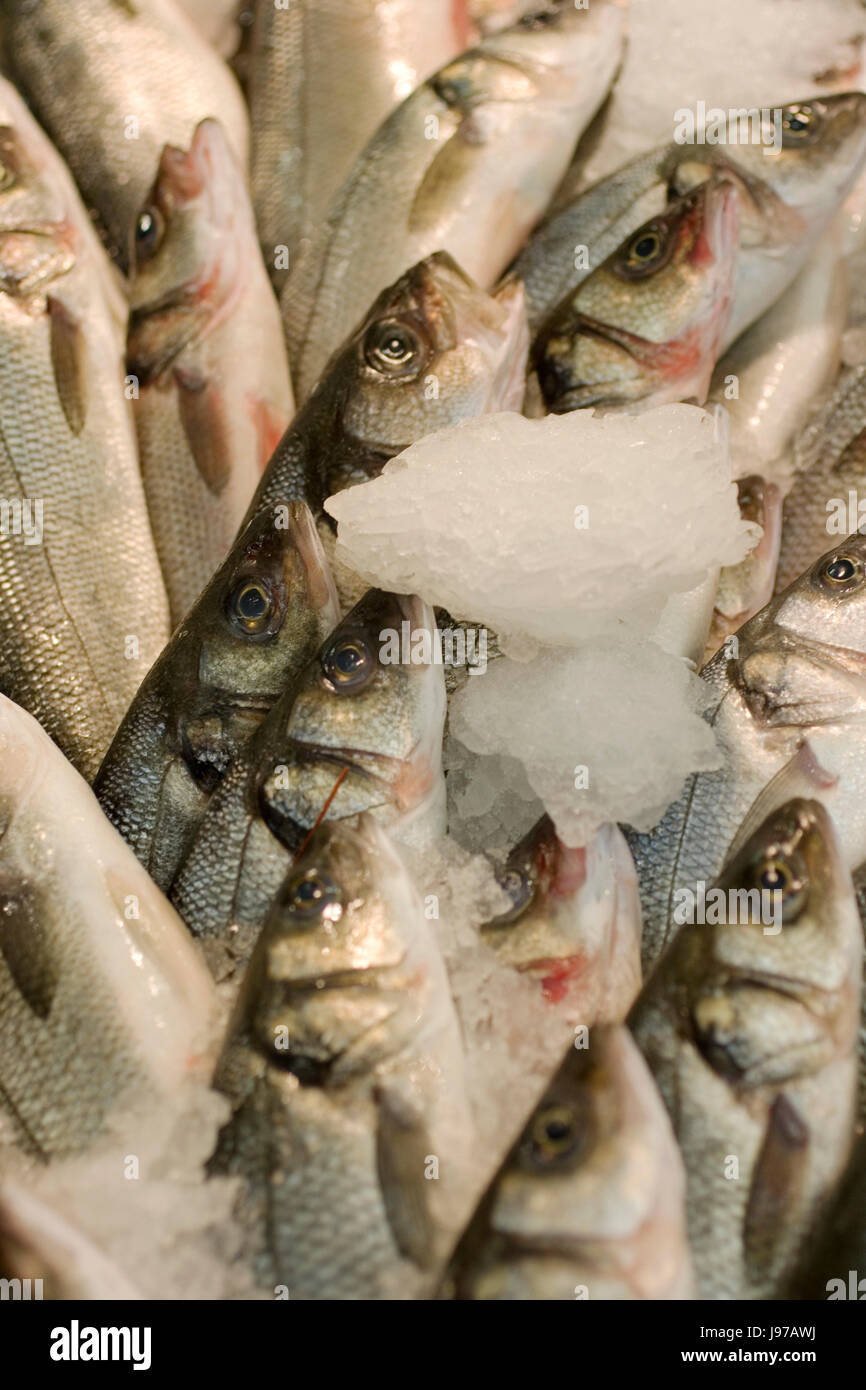 food, aliment, angle, fish, seafood, food, aliment, health, angle, fish ...