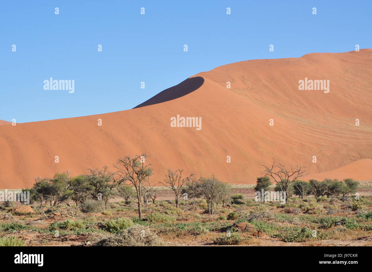 namibia - landscape of sossusvlei Stock Photo - Alamy