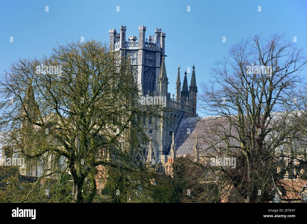 Ely Cathedral through trees Stock Photo - Alamy