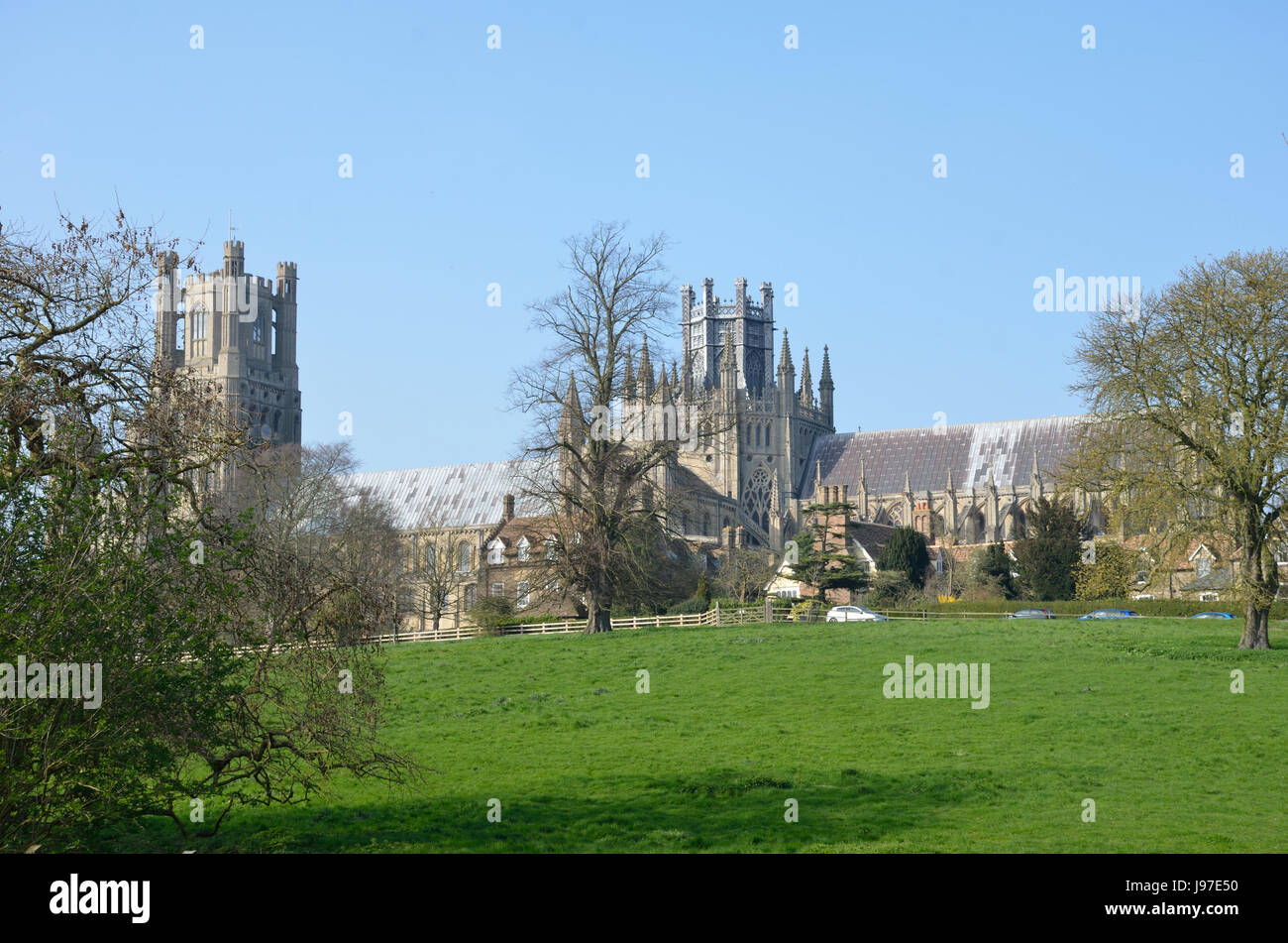 ely cathedral in field Stock Photo - Alamy