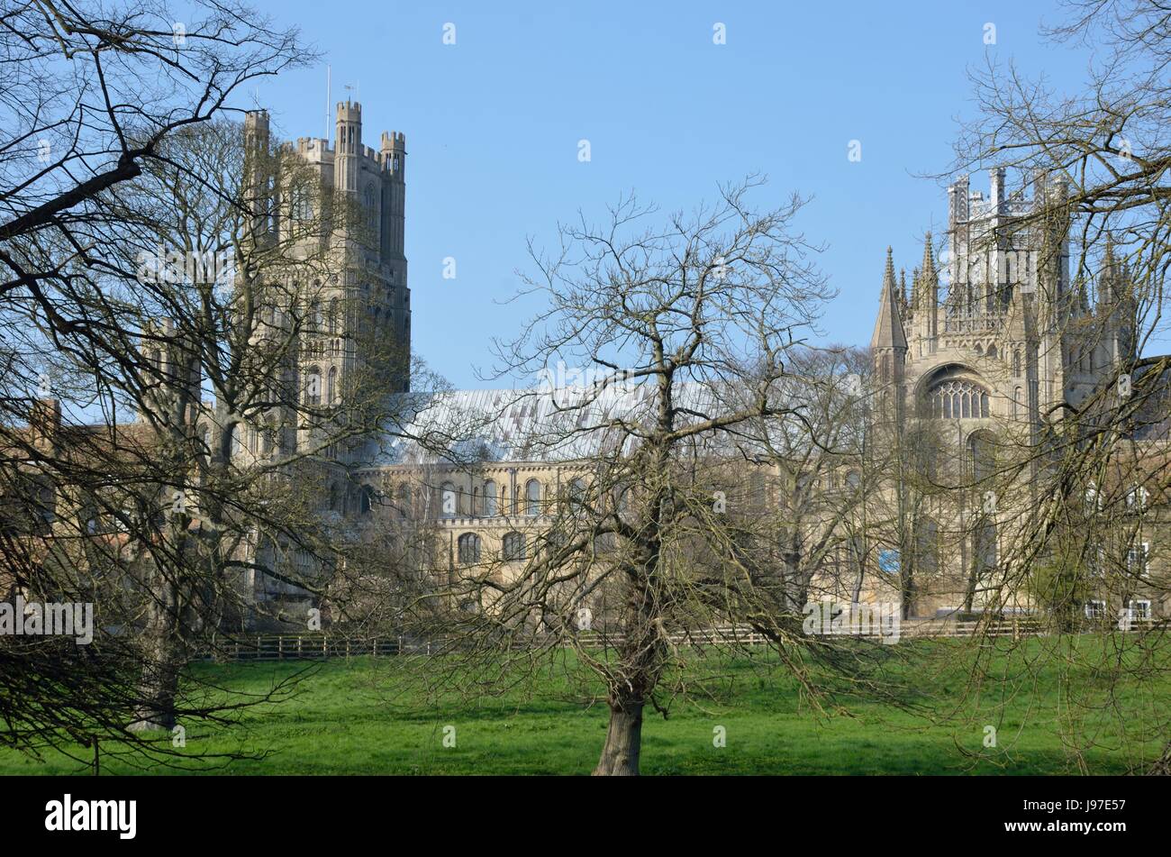 Ely Cathedral through trees Stock Photo - Alamy