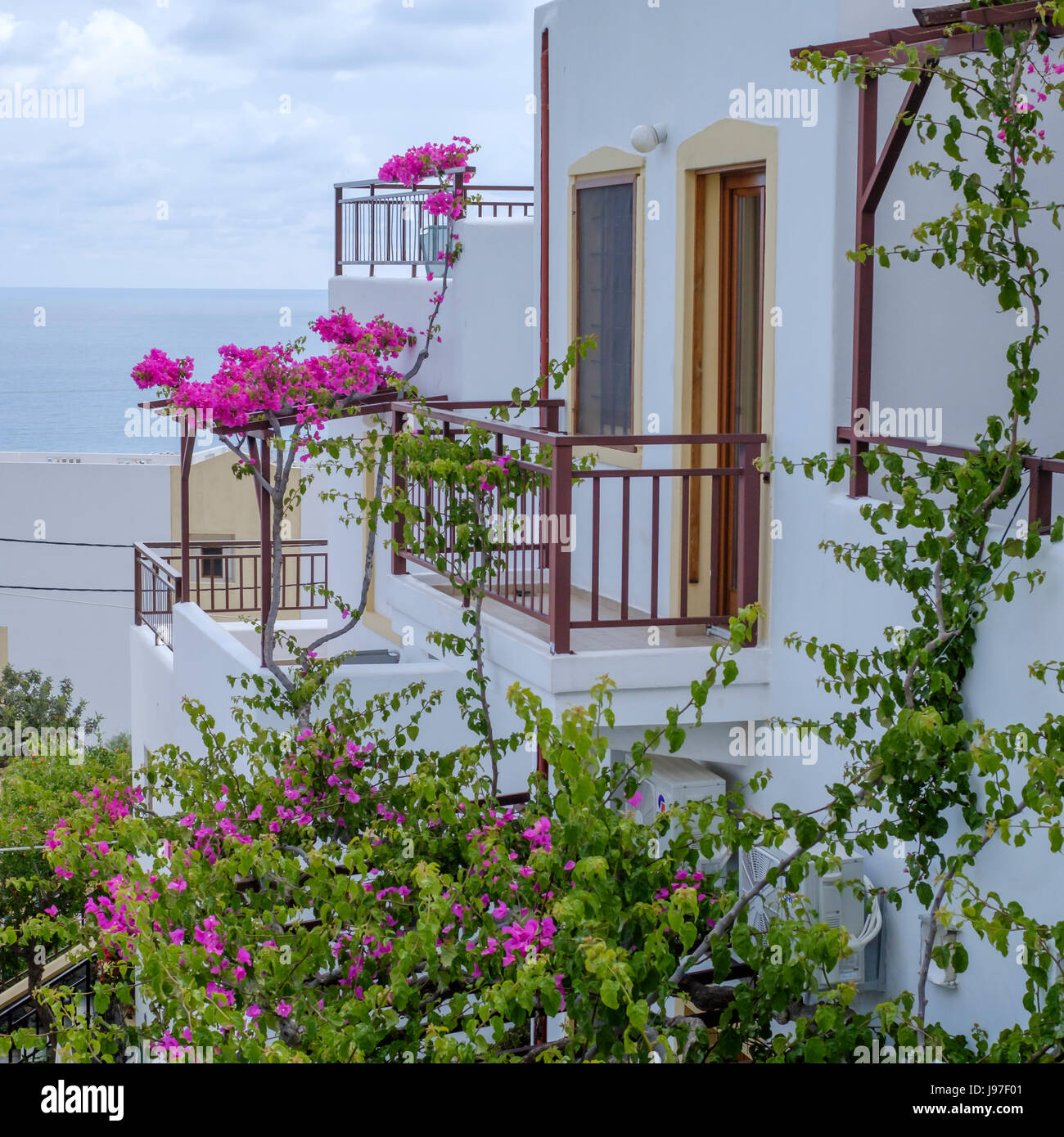 Beautiful bougainvillea flowers for  house decoration on the island crete, greece Stock Photo