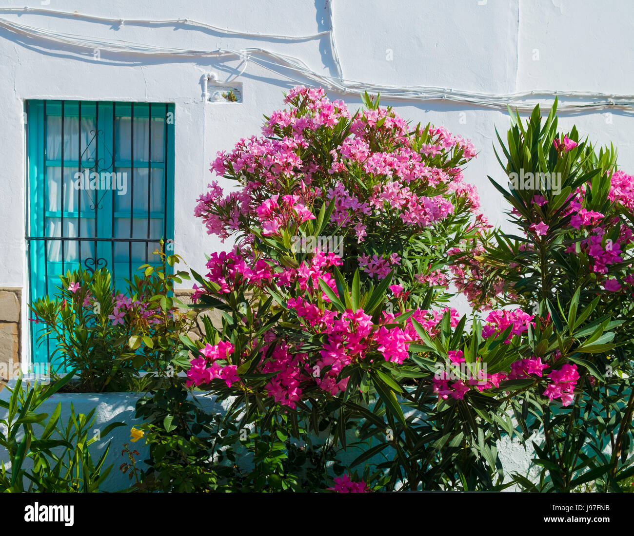 jimena de la frontera Stock Photo Alamy