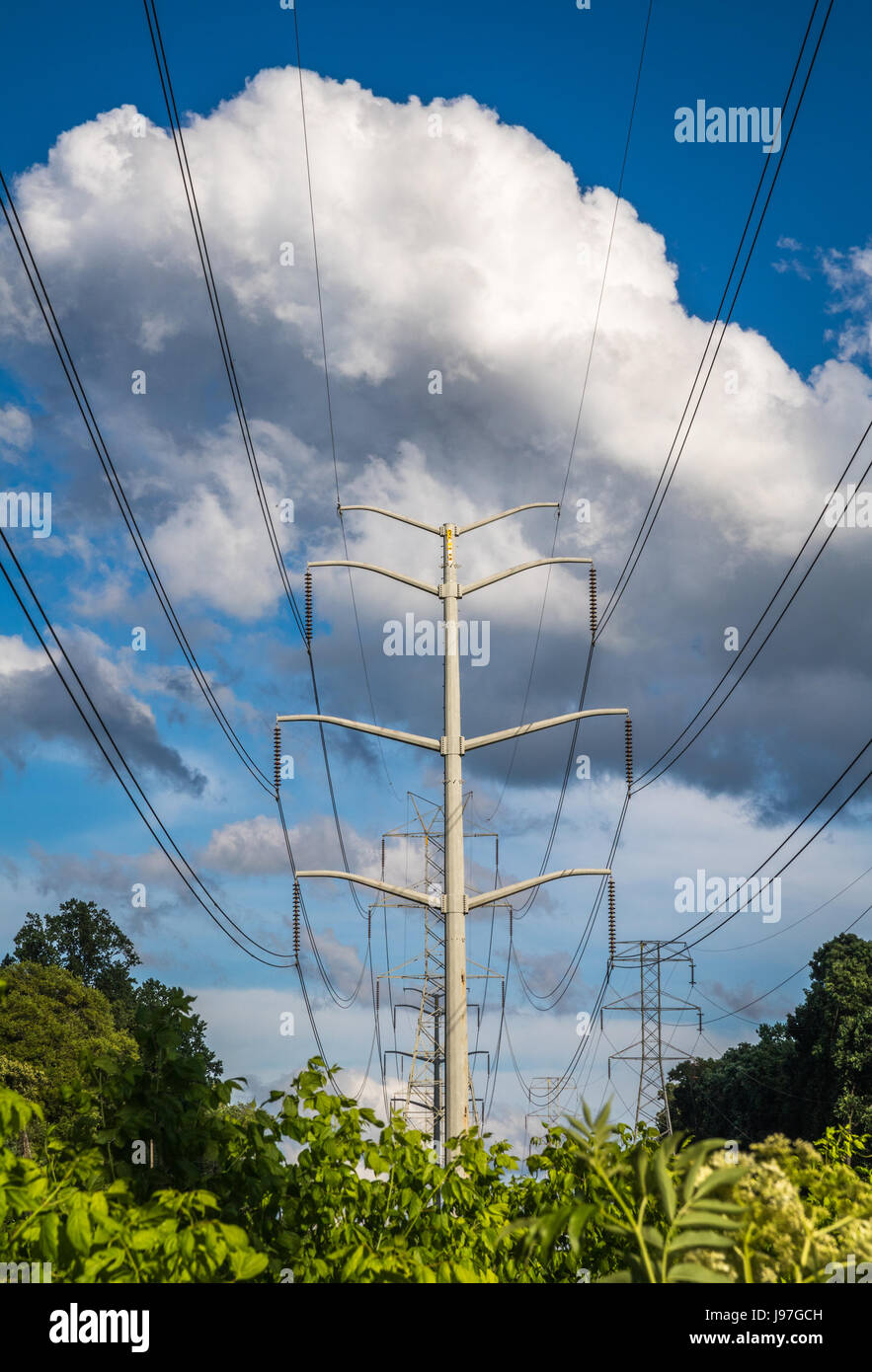 Title Vertical photo of power lines and tower against a blue sky with ...