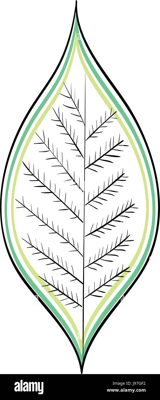 leafs plant ecology icon Stock Vector Image & Art - Alamy