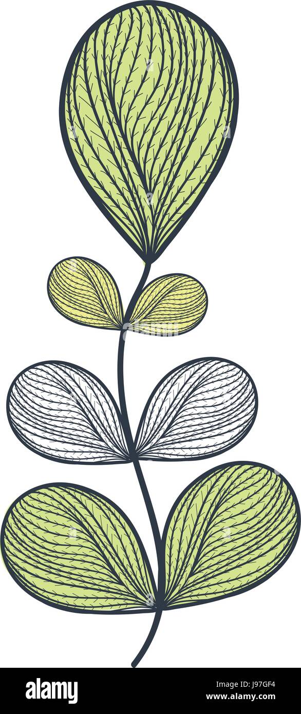 leafs plant ecology icon Stock Vector Image & Art - Alamy