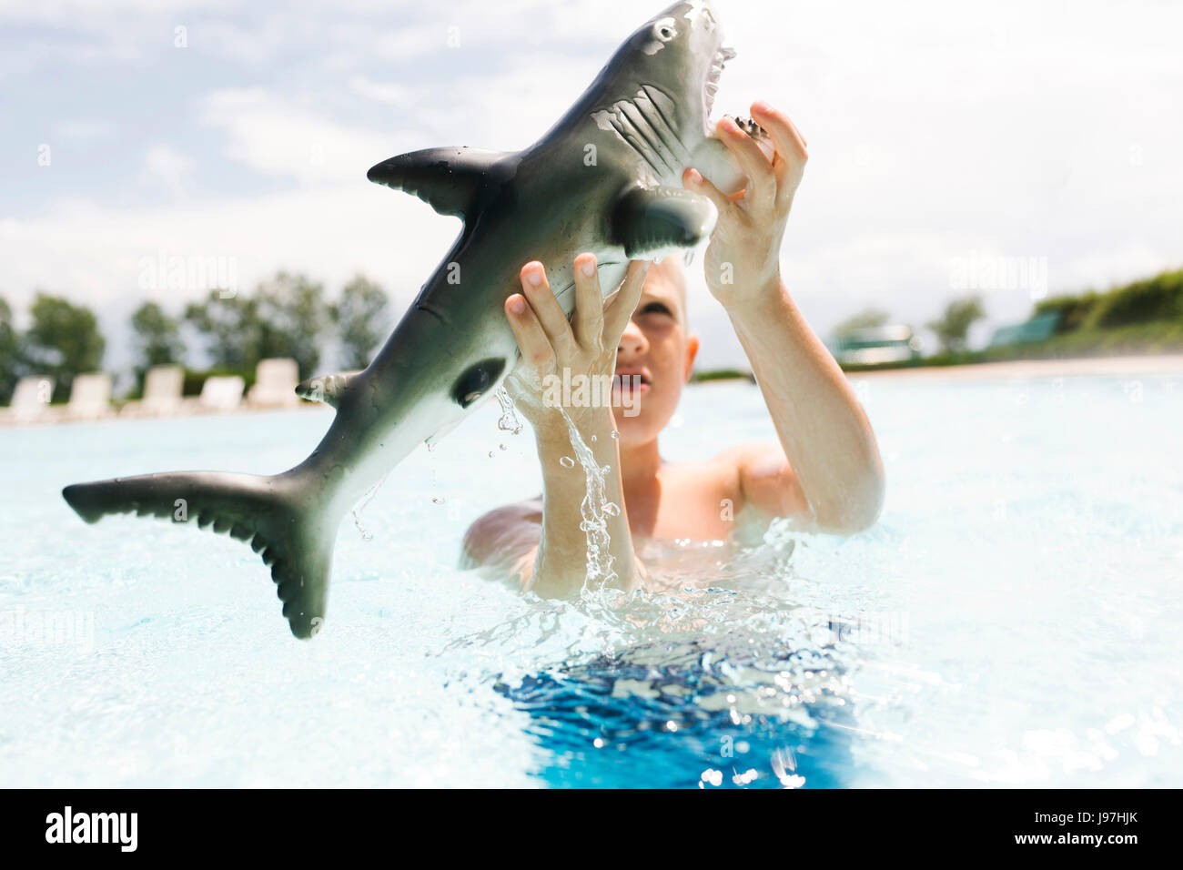 swimming shark toy for pool