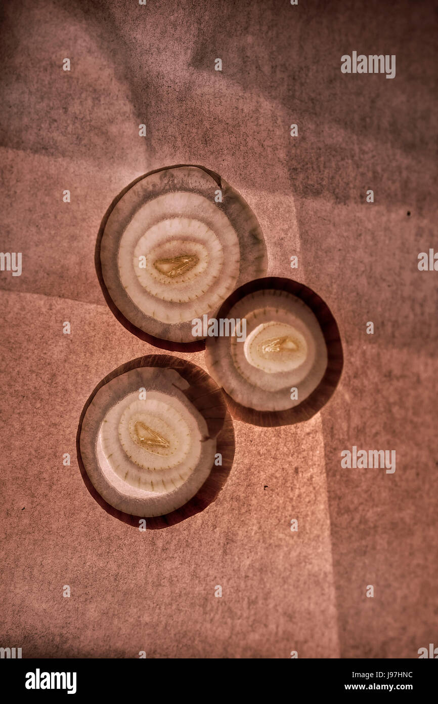 Backlit onion slices hi-res stock photography and images - Alamy