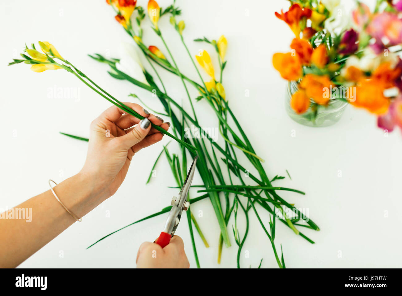 Woman cutting flowers Stock Photo Alamy