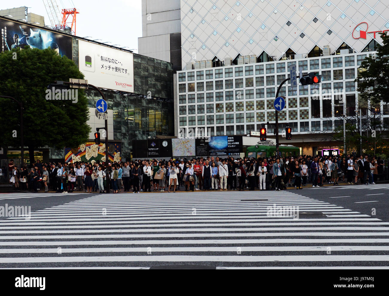 Shibuya crossing in  Tokyo, Japan Stock Photo