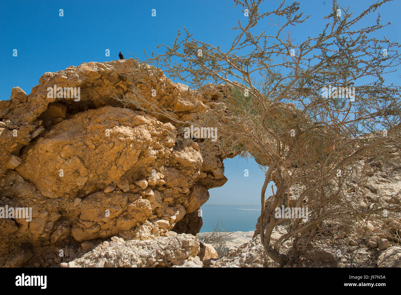 Near the oasis of  Ein Gedi In the background the Dead Sea in Israel in spring Stock Photo
