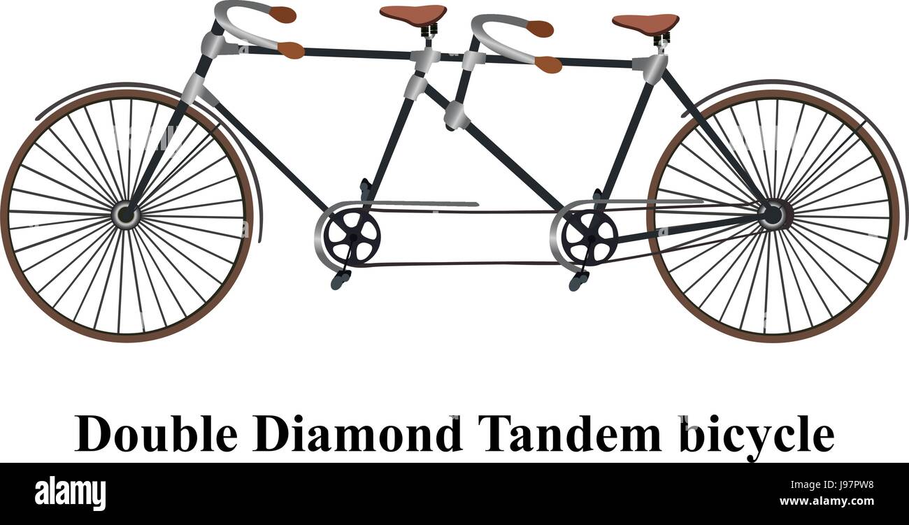 Vintage tandem bicycle isolated on white background. Vector