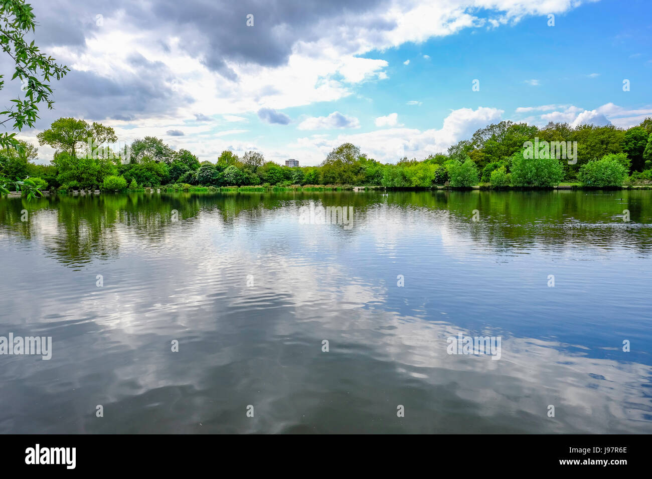 Essex lake view with lovely reflections of the sky.  With trees lining the lakes edge. Stock Photo