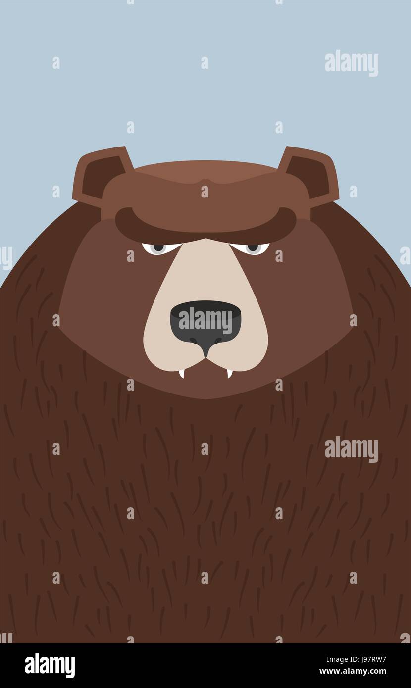 big brown bear. Vector illustration Stock Vector