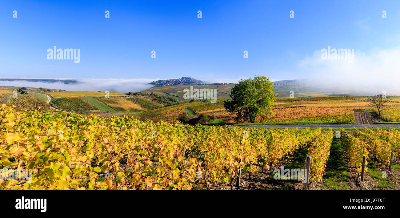 France, Cher, Sancerre, the little town  on the hill and the vineyard (Sancerre AOC) in autumn, morning fog Stock Photo