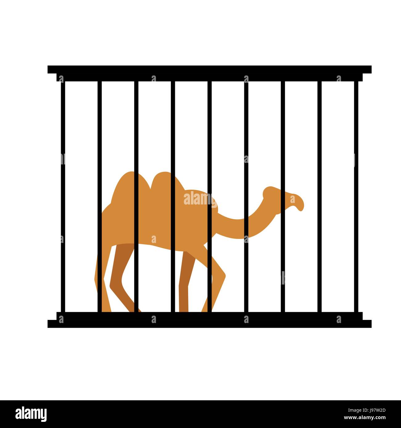 Camel in cage. Animal in Zoo behind bars. Desert wild animal in