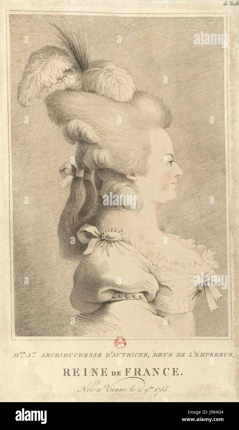 Broche Camée Ancien Portrait De Marie-Antoinette - Nacre Et Laiton - Occasion