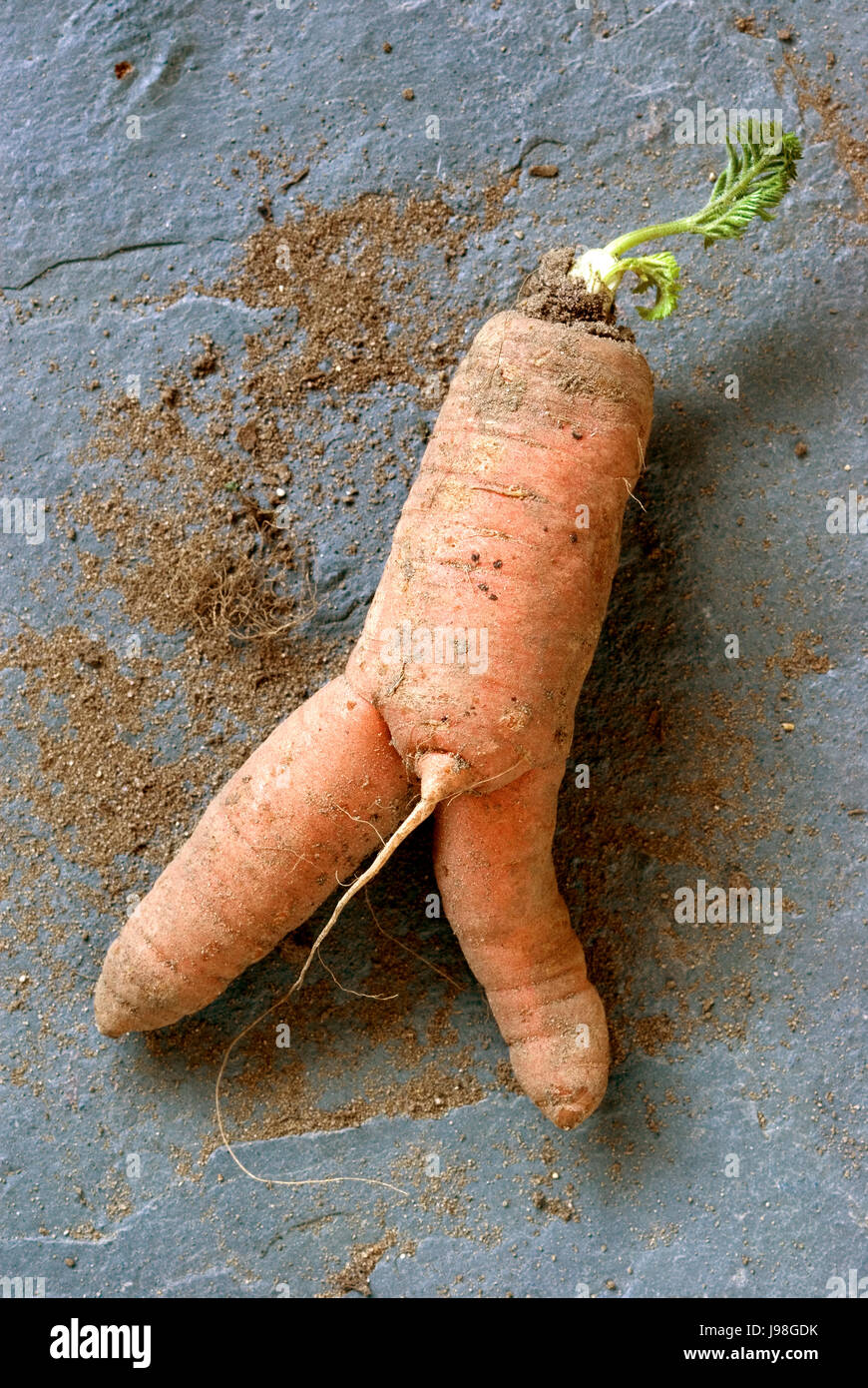 Rude Carrot Stock Photo