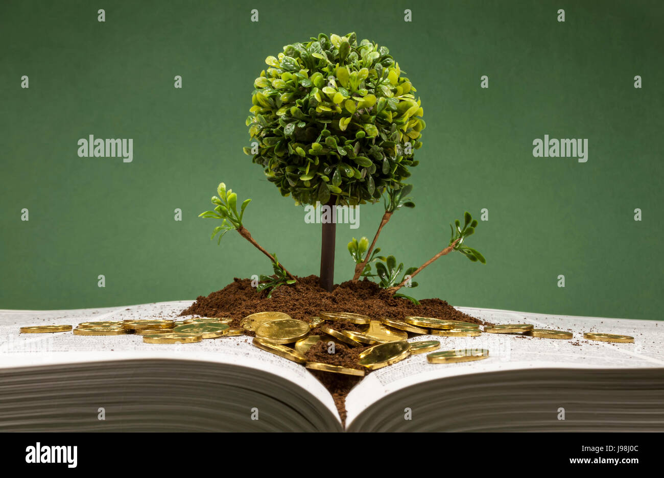 Miniature and decorative tree with round canopy on a layer of soil and scattered golden coins on an open book , concept about knowledge and finance Stock Photo