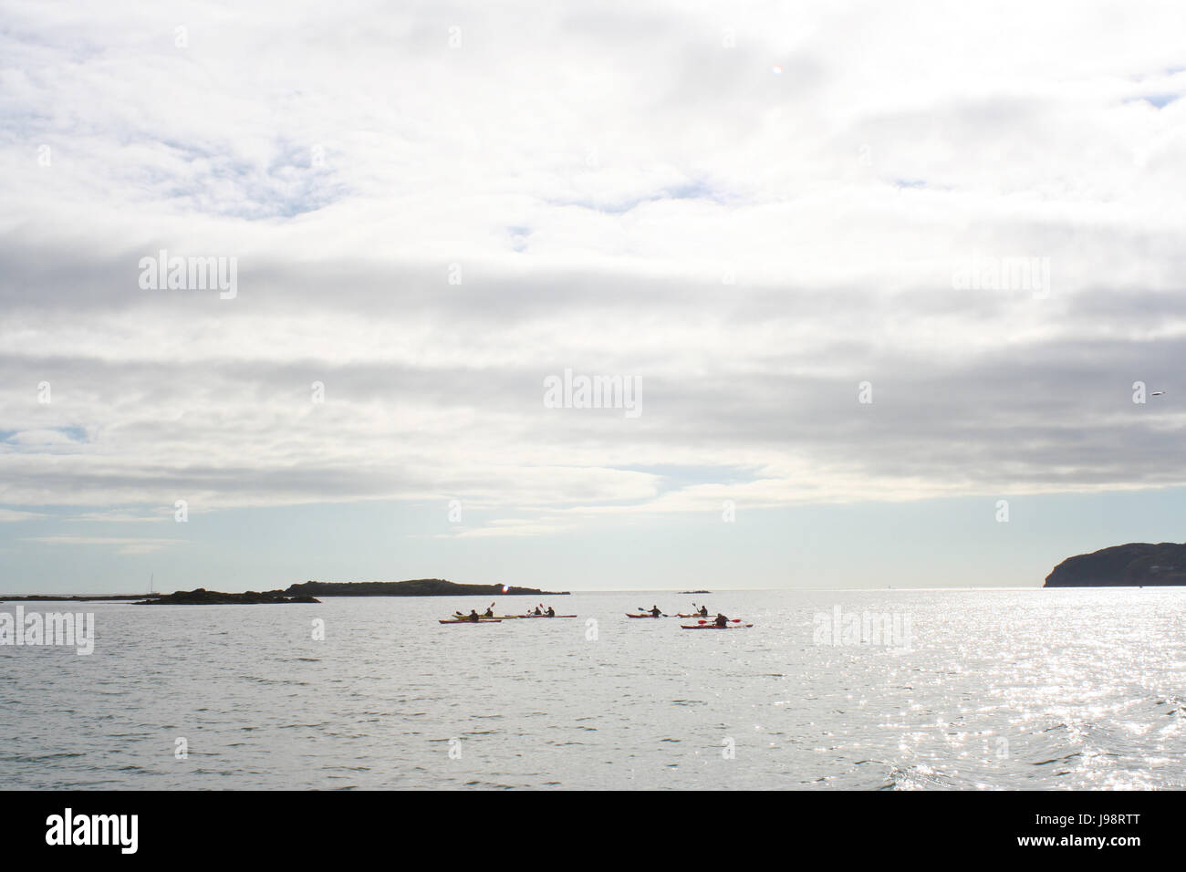 Group Kayaking in Dublin Bay, Ireland Stock Photo