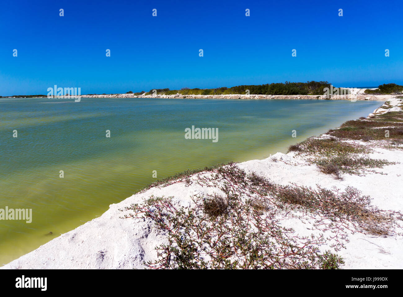 Landscape of the countryside in Rio Lagartos, Mexico Stock Photo - Alamy
