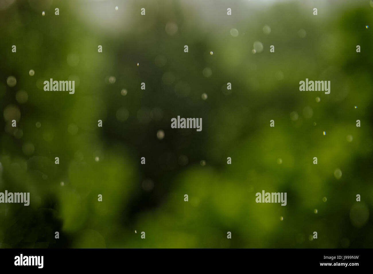 rain, Window, Water on glass Wallpapers HD / Desktop and Mobile Backgrounds, image size:1300x956