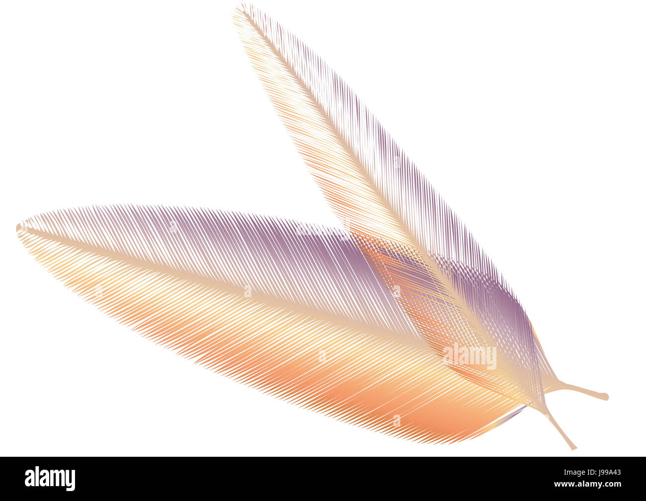 colour, pastel, illustration, feather, vector, color, pictogram, symbol, Stock Photo