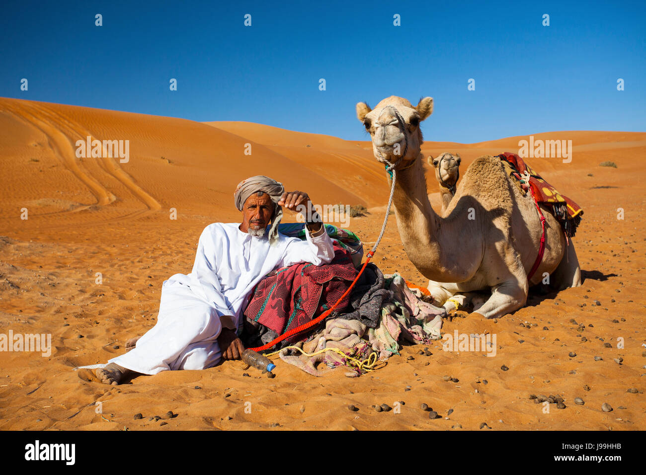 Bedouin, camel, Sharqiya Sands Desert, Wahiba Desert, Oman, Arabian peninsula, by Monika Hrdinova/Dembinsky Photo Assoc Stock Photo